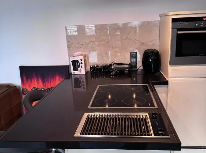 アパート Penthouse Ultra Exlusive ドゥイスブルグ